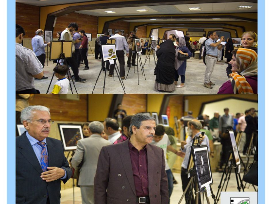 افتتاح نمایشگاه گروهی عکس موکریان -سینمای جوان مهاباد