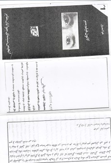 67d3f94445981_49.jpg